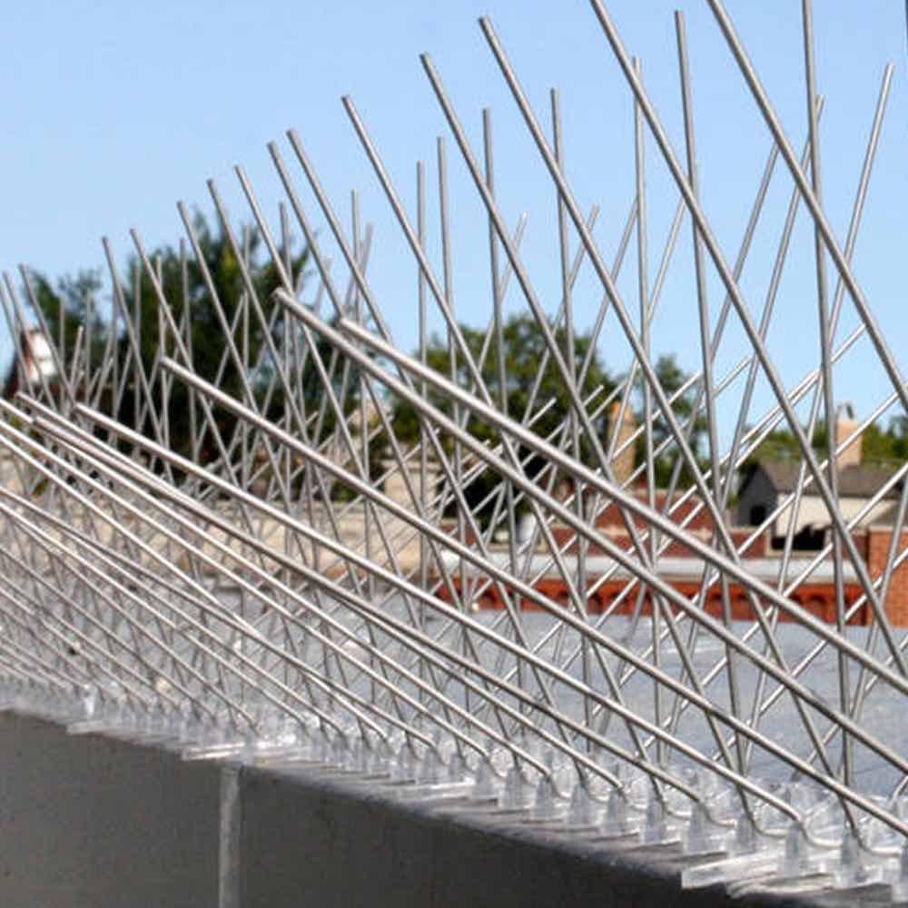 Stainless Steel Bird Spikes