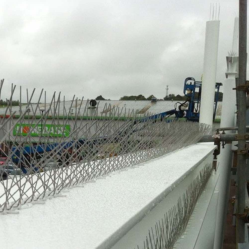 Stainless Steel Bird Spikes