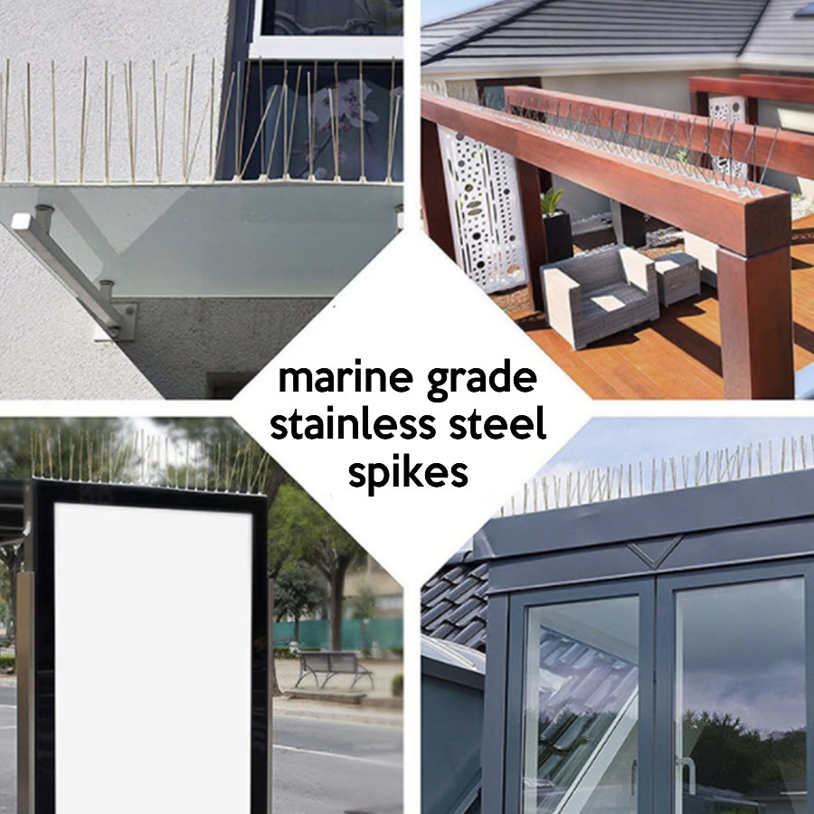 Stainless Steel Bird Spikes