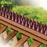 Possum Spikes, image 7