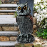 Fake Owl Decoy, image 1