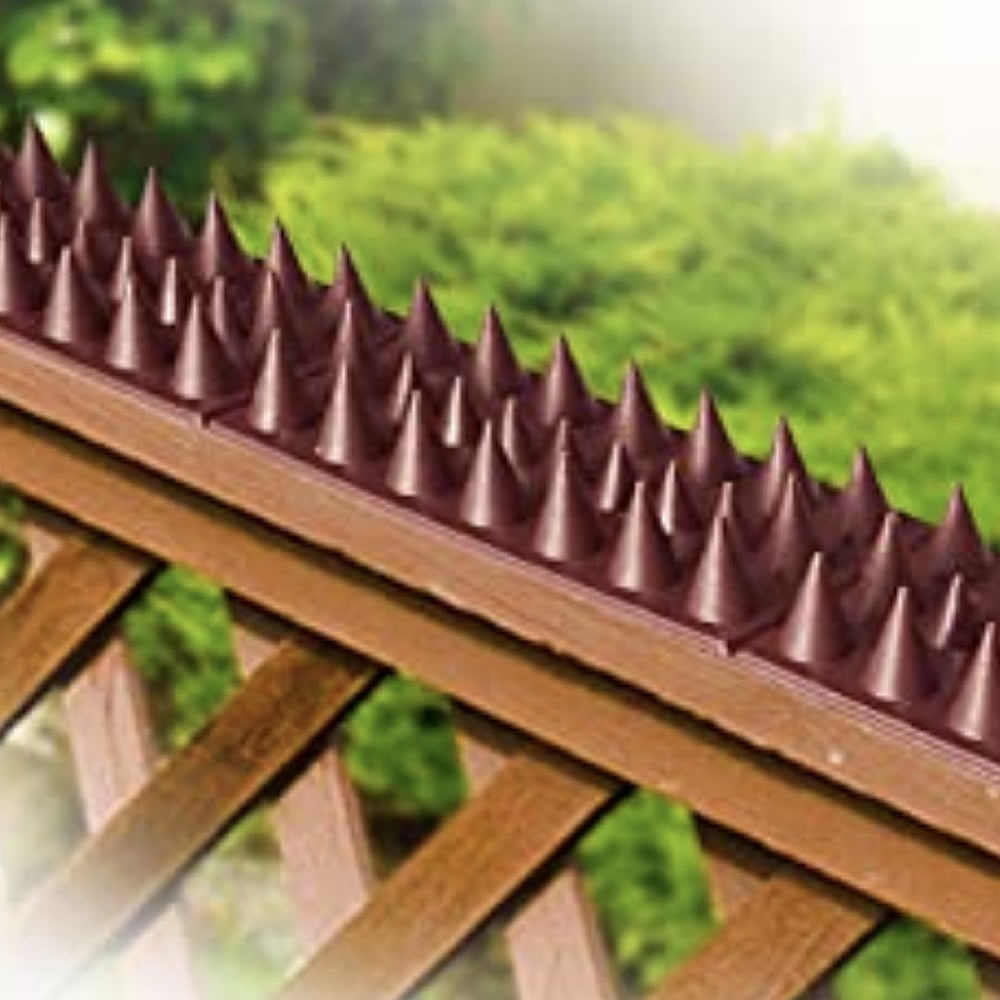 Hard Plastic Bird Spikes, image 4